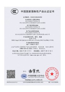 China Compulsory Certificate (CCC) for Elevator Door Switch (XDS Series)