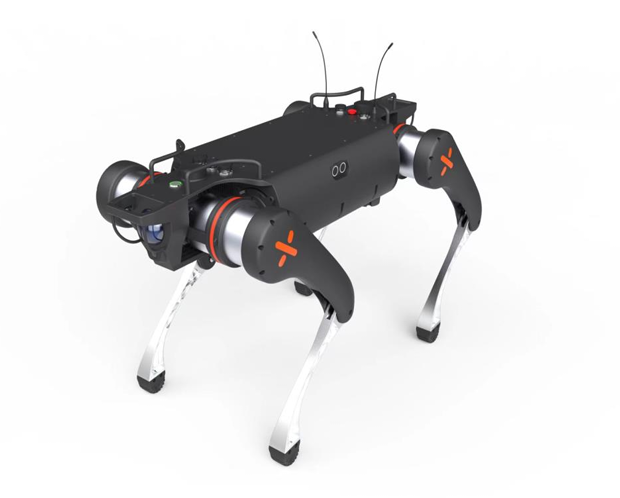 Quadruped Robot D30