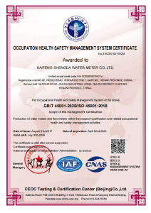 ISO 45001 Occupational Health & Safety Management System Certificate