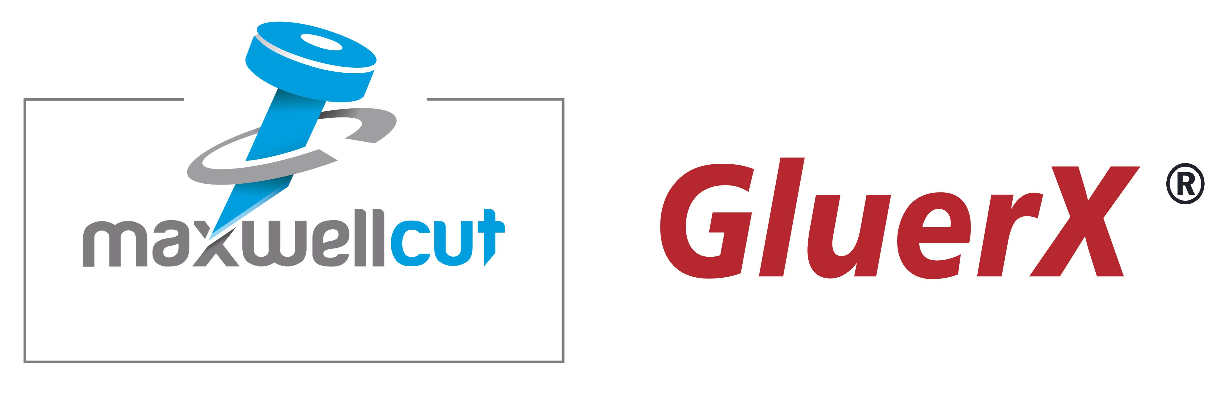 Shanghai Maxwell Technology Co.,Ltd