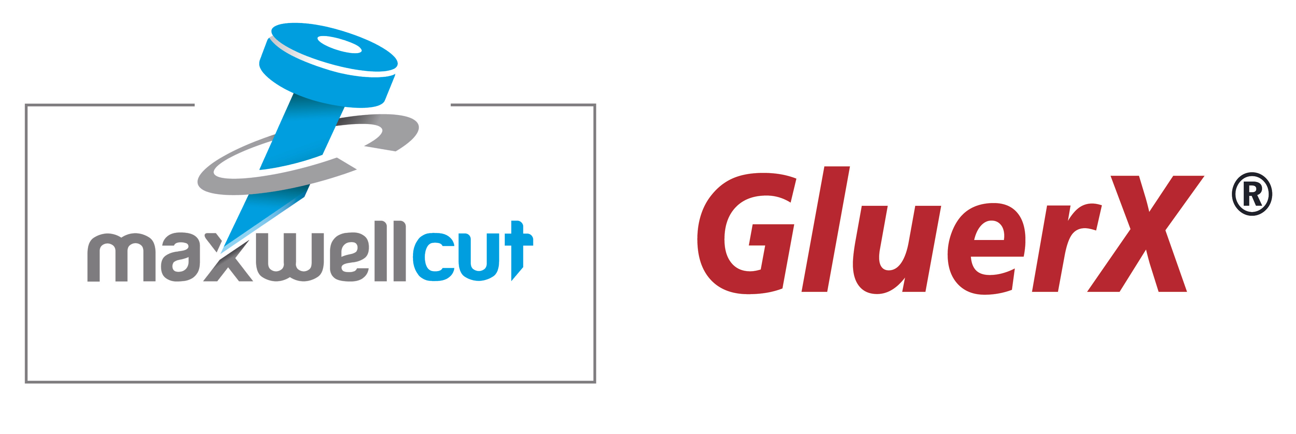 Shanghai Maxwell Technology Co.,Ltd