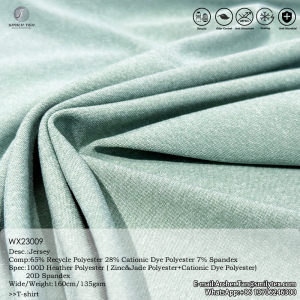 Functional Polyester
