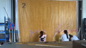 Customized Mesh Curtain with Patterns