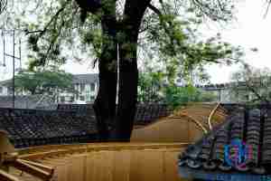 Traditional Architecture Design Institute, Landscape Engineering Contractor