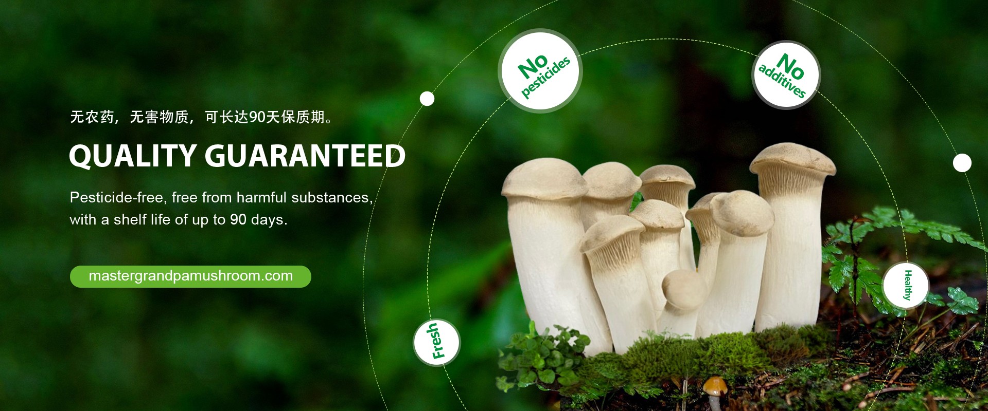 Second banner 1920px * 500px