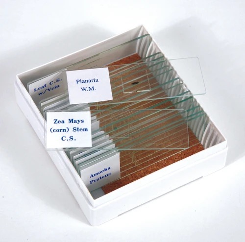 Microscope Slides