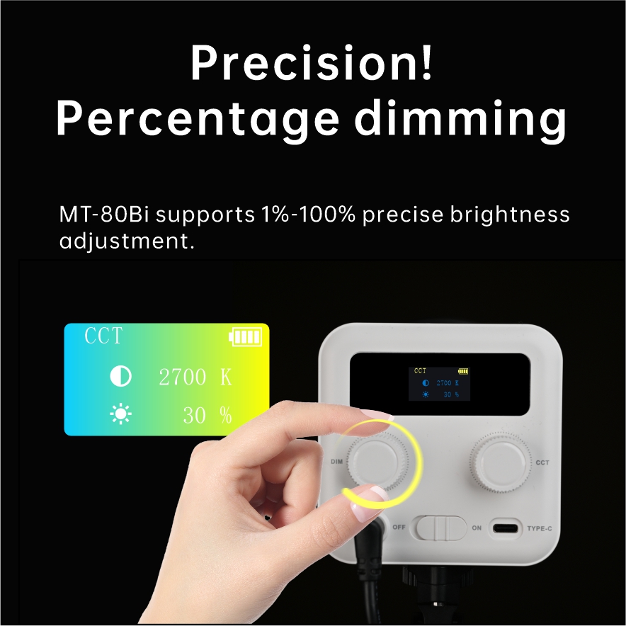  Handheld light