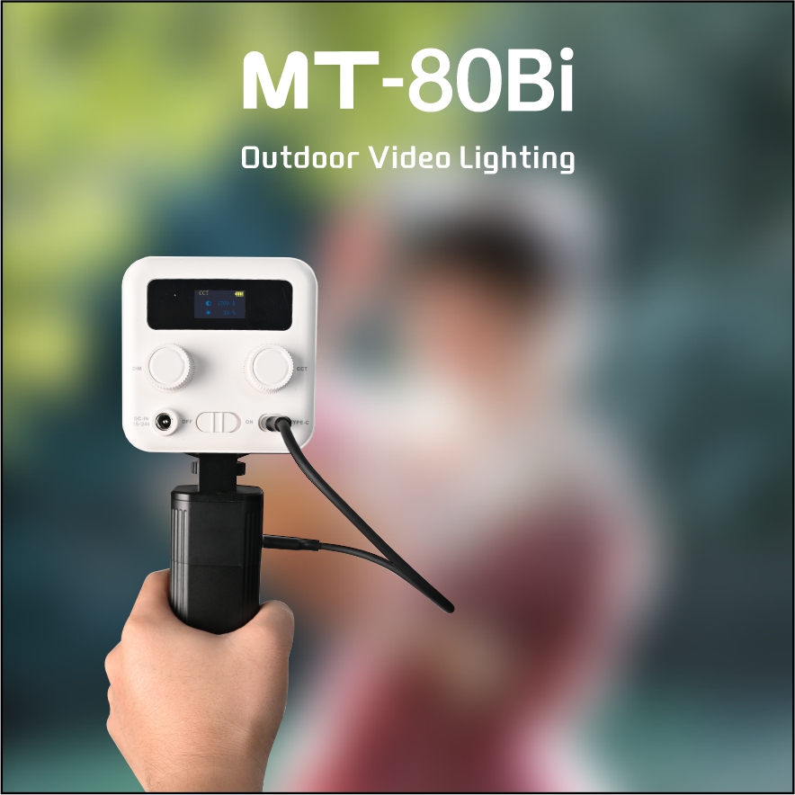  Handheld light