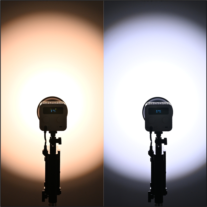  Handheld light