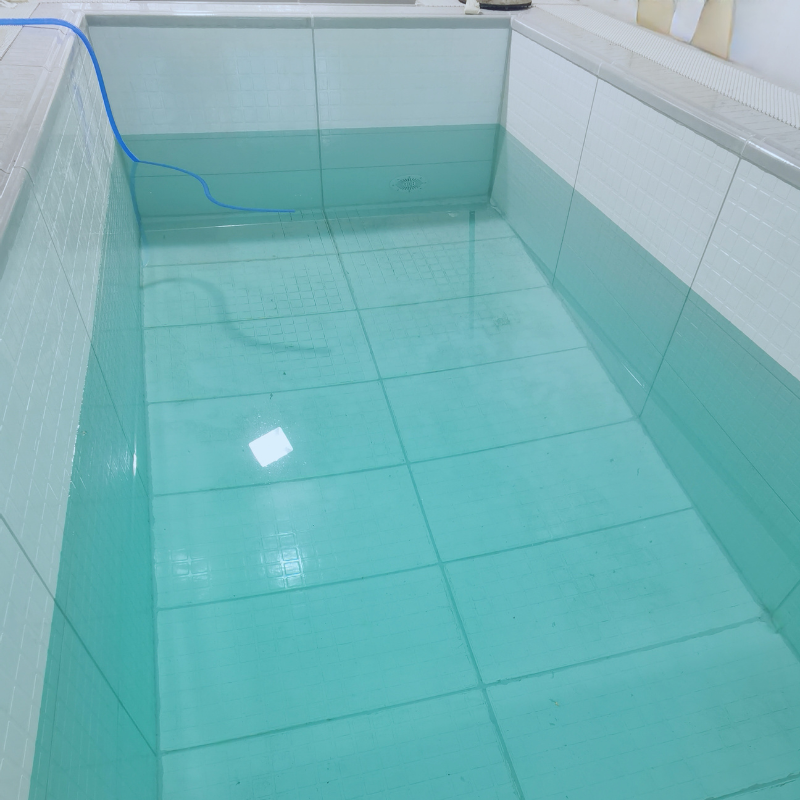 SMC Swimming Pool  