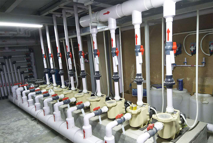 How to choose the suitable swimming pool water pump