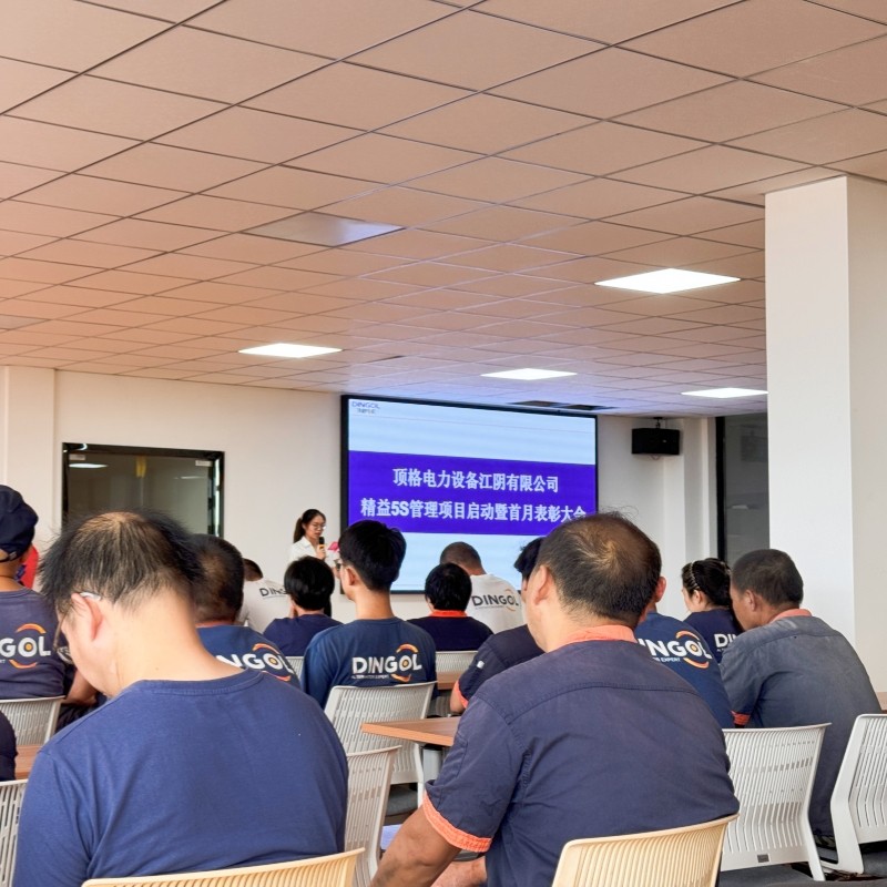 Dingol Power：Lean 5S Management Project Kick-off Conference