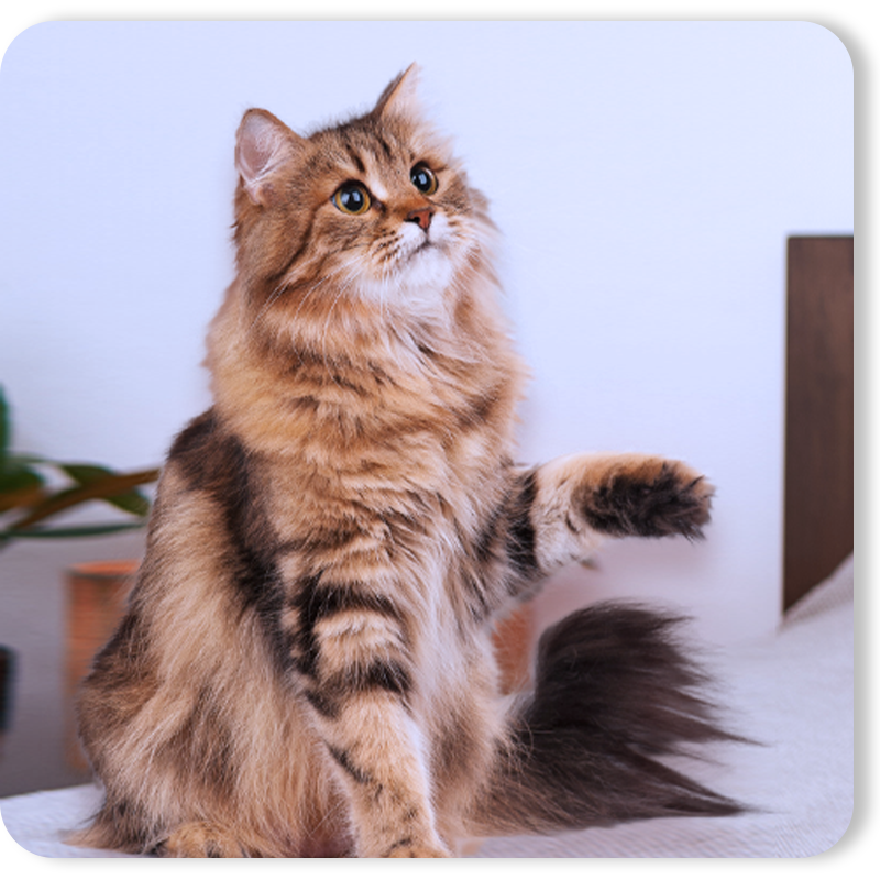 How Many of These Feeding Dilemmas Sound Familiar?