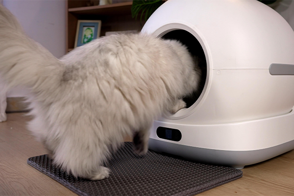 Calibrating weight sensor on Tikpaws Smart Litter Box via mobile app