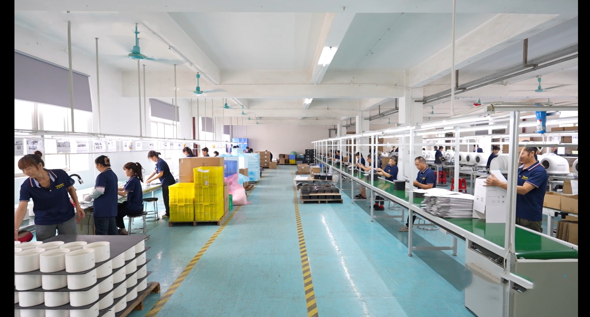 Happy dog using Tikpaws smart pet product