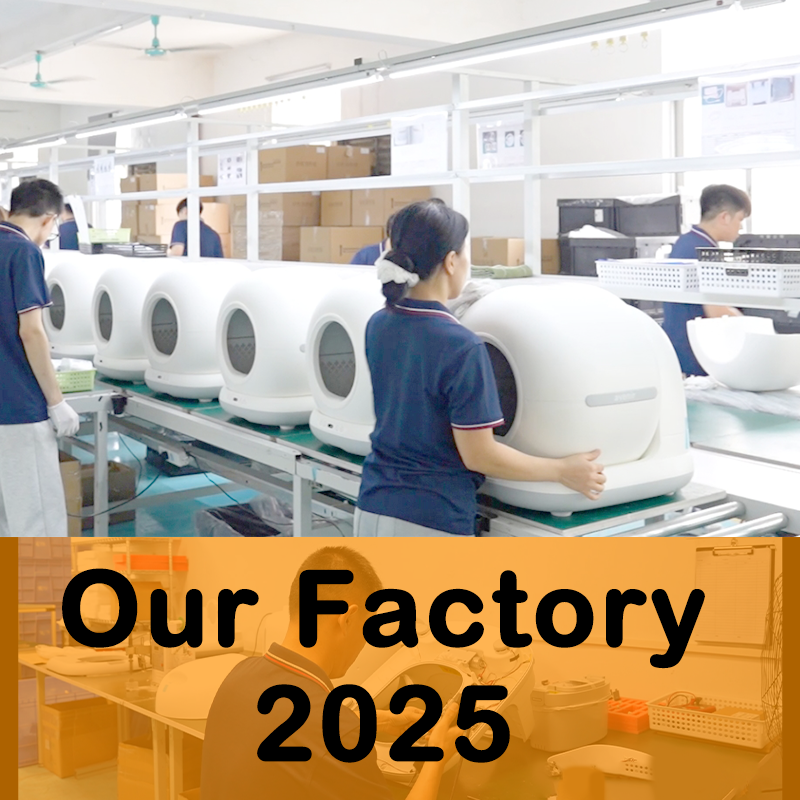 Tikpaws 2025 | Visit Our Smart Pet Products Factory in Huizhou