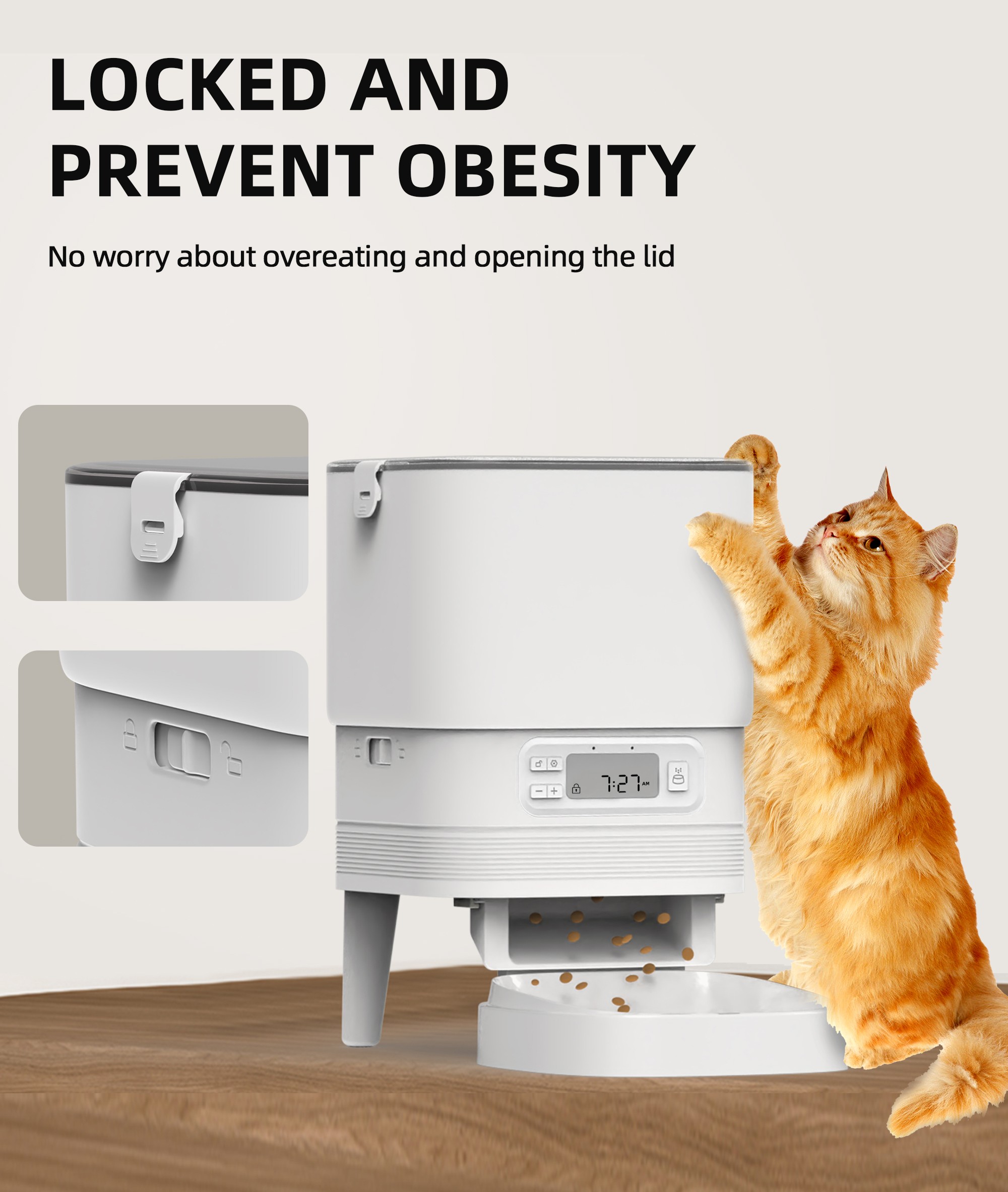 Tips for maximizing cat feeding routine with smart feeders