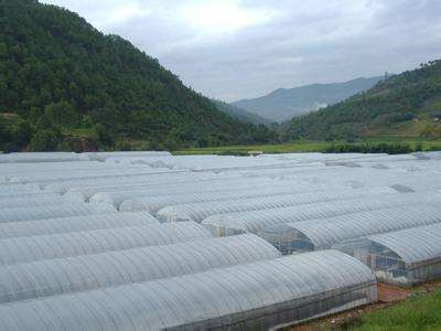 Breeding Film: Introduction to the Anti - Seepage Process of Breeding Film