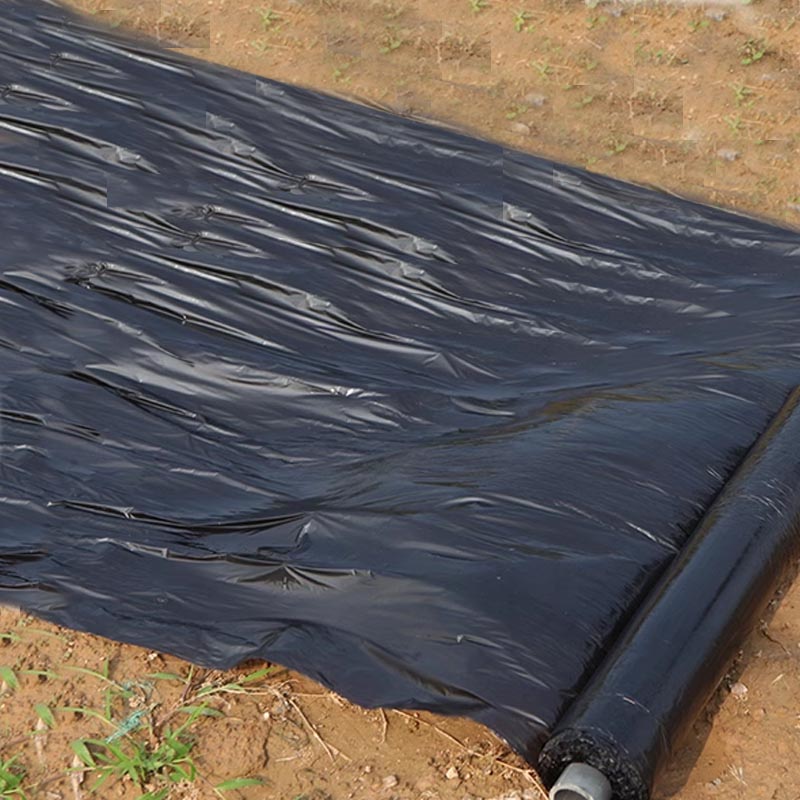 Black Mulch Film