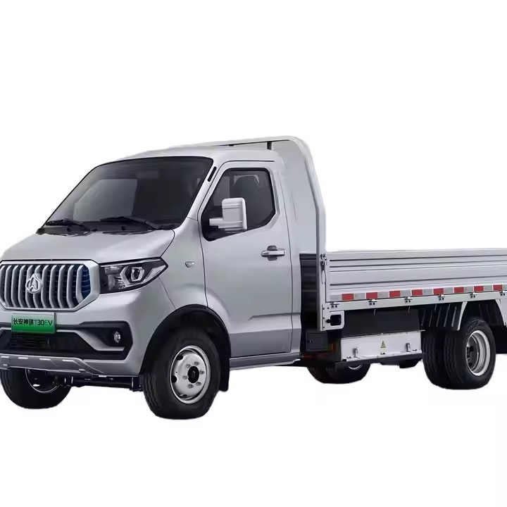 Changan Shenqi T30EV  Mini Truck Electrical EV Automobile Commercial New Energy Vehicle 