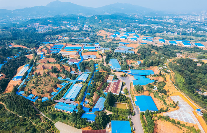 Company Profile