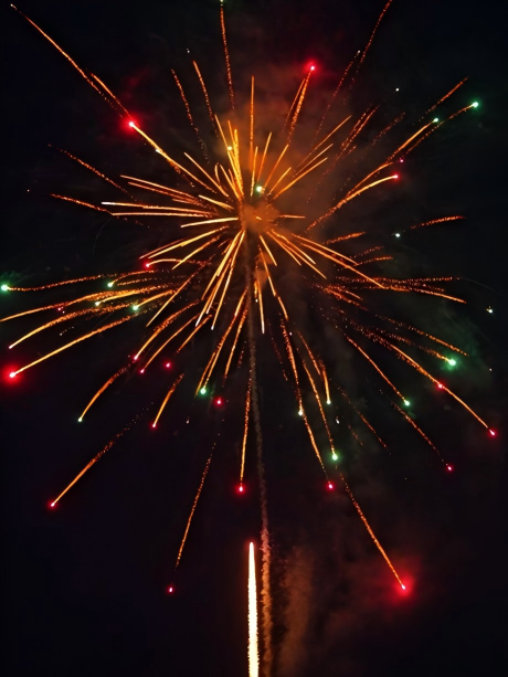 60 shots / Southern China Professional Display Fireworks Series