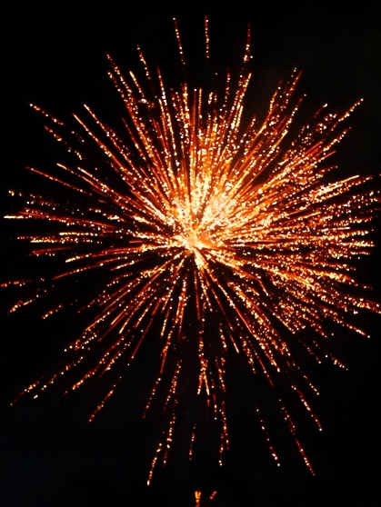 49shots / Premium Golden Willow Titanium Professional Compound Firework  
