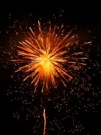 49shots / Barrage Artillery Firework - Professional Pyrotechnic Grade