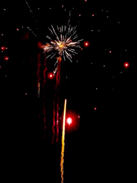 100 shots / Auspicious Splendor: Galloping Steeds & Soaring Dragons Display     Fireworks Collection  