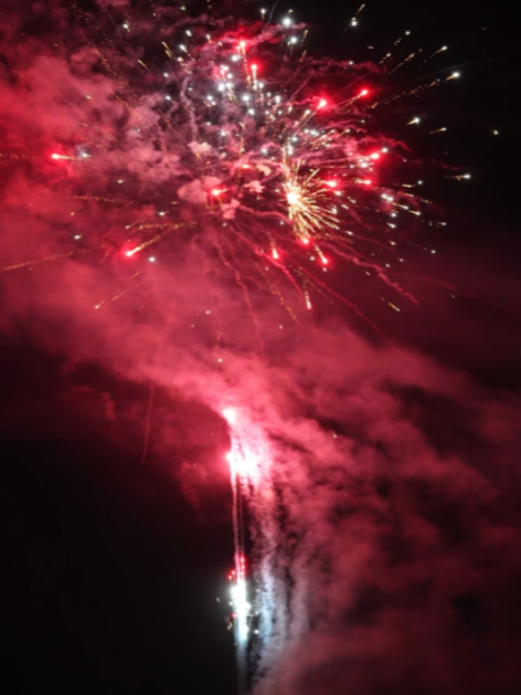 100 shots /Regal Affluence Display Fireworks Collection