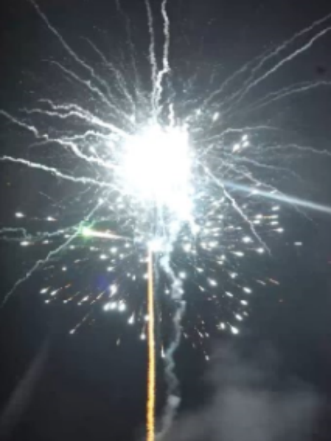 128 shots /Shot Prosperity Tree Display Fireworks Collection