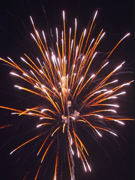100 shots / Southern China Professional Display Fireworks Series