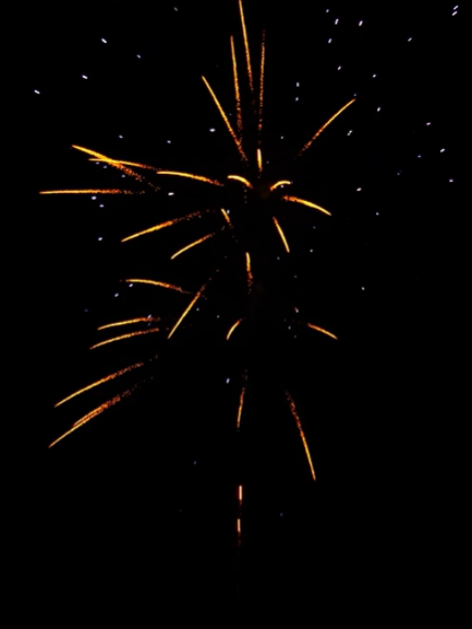 100 shots / Centenary Fireworks Artistic Mastery