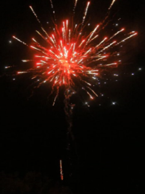 80 shots / Prosperous Arrival Fireworks