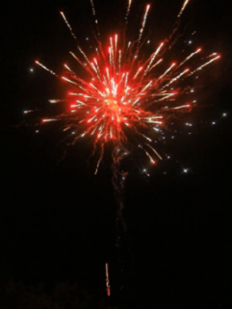 100 shots / Wealthy Fireworks