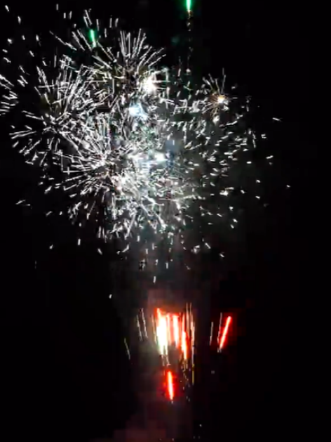  81 shots/Floral Skyburst Salute