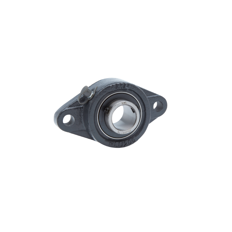 2 Bolt UCFT Flange, Wide Insert Bearings