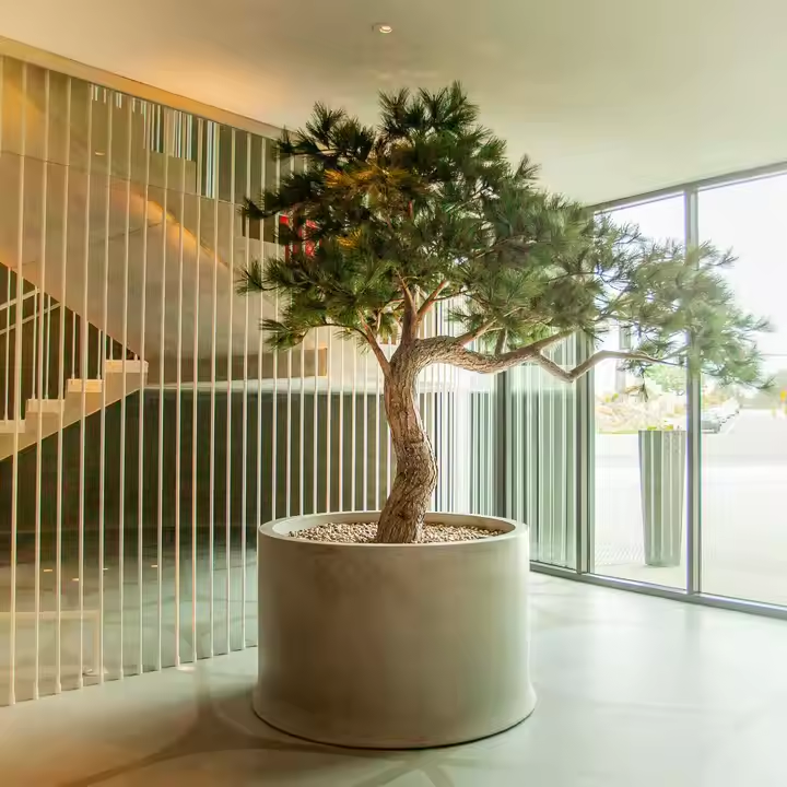 Customizable Artificial Pine Trees