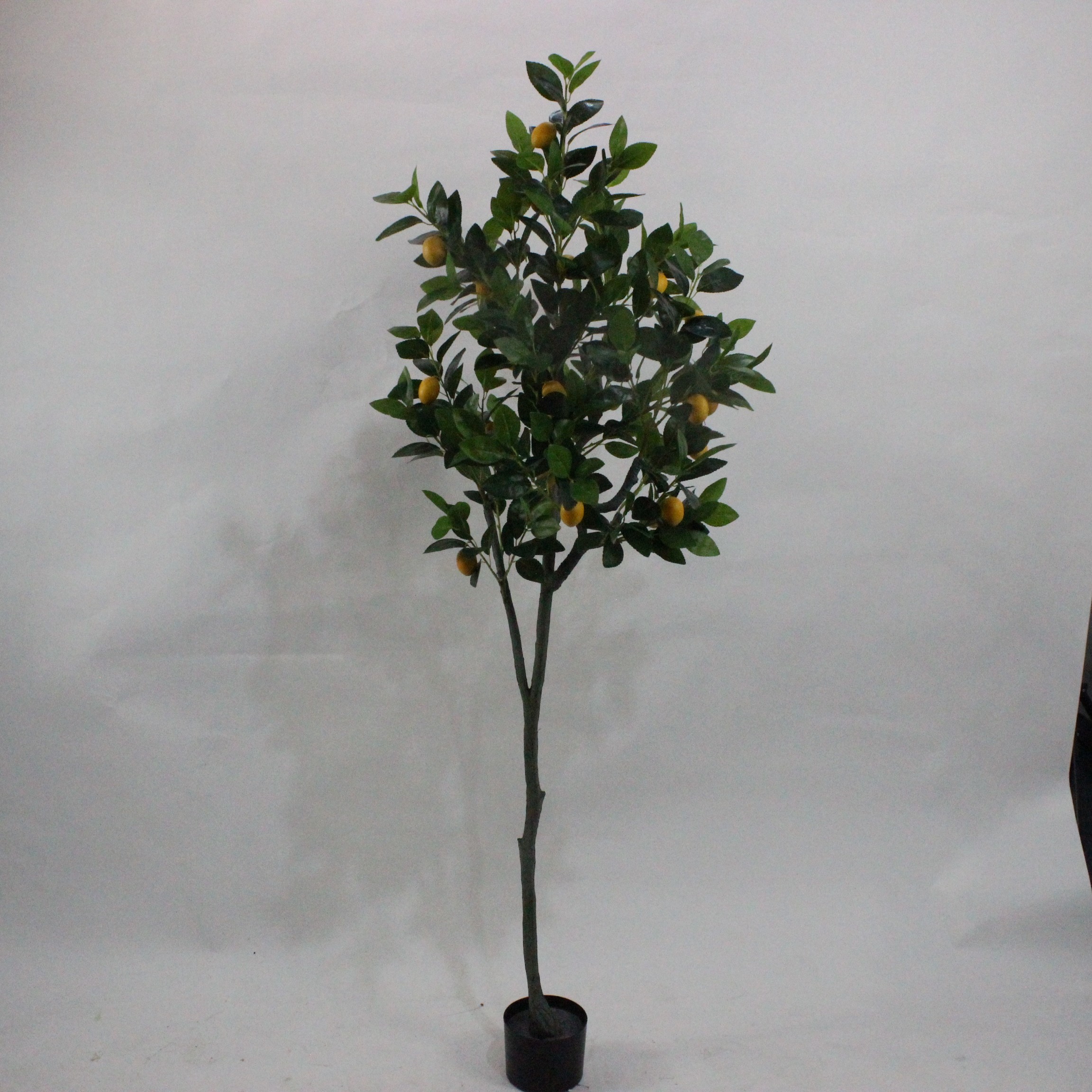 Artificial Orange Trees