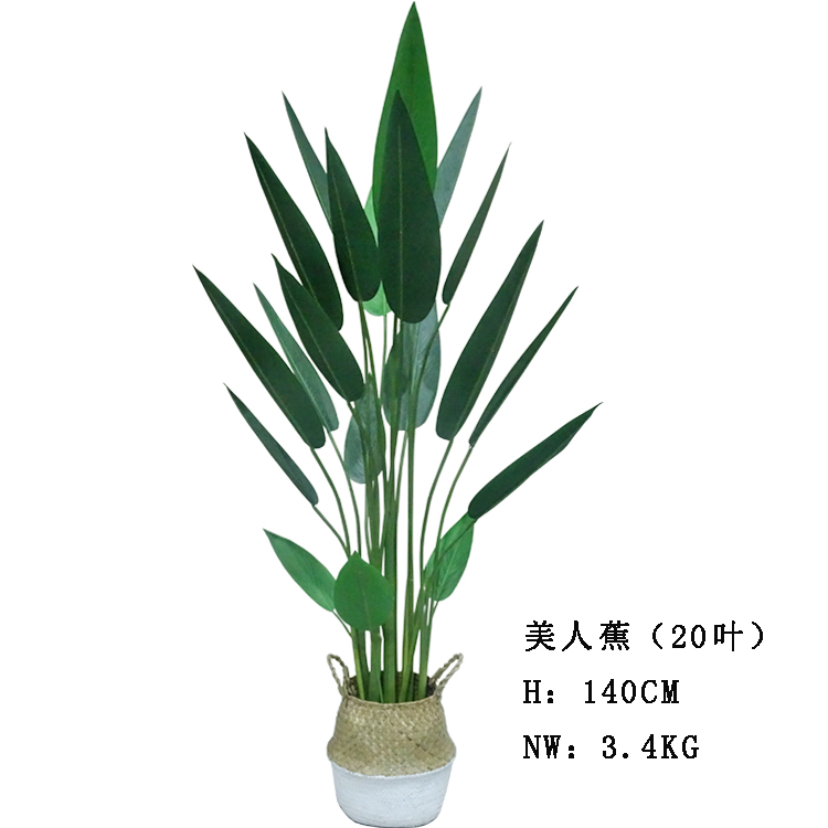 Artificial Canna, Traveler's Palm, and Banana Trees