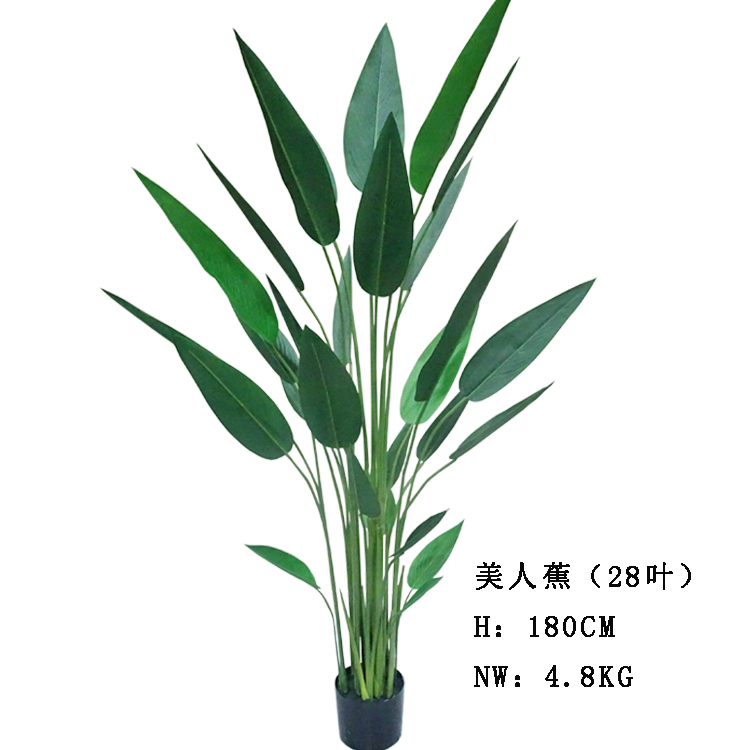 Artificial Canna, Traveler's Palm, and Banana Trees