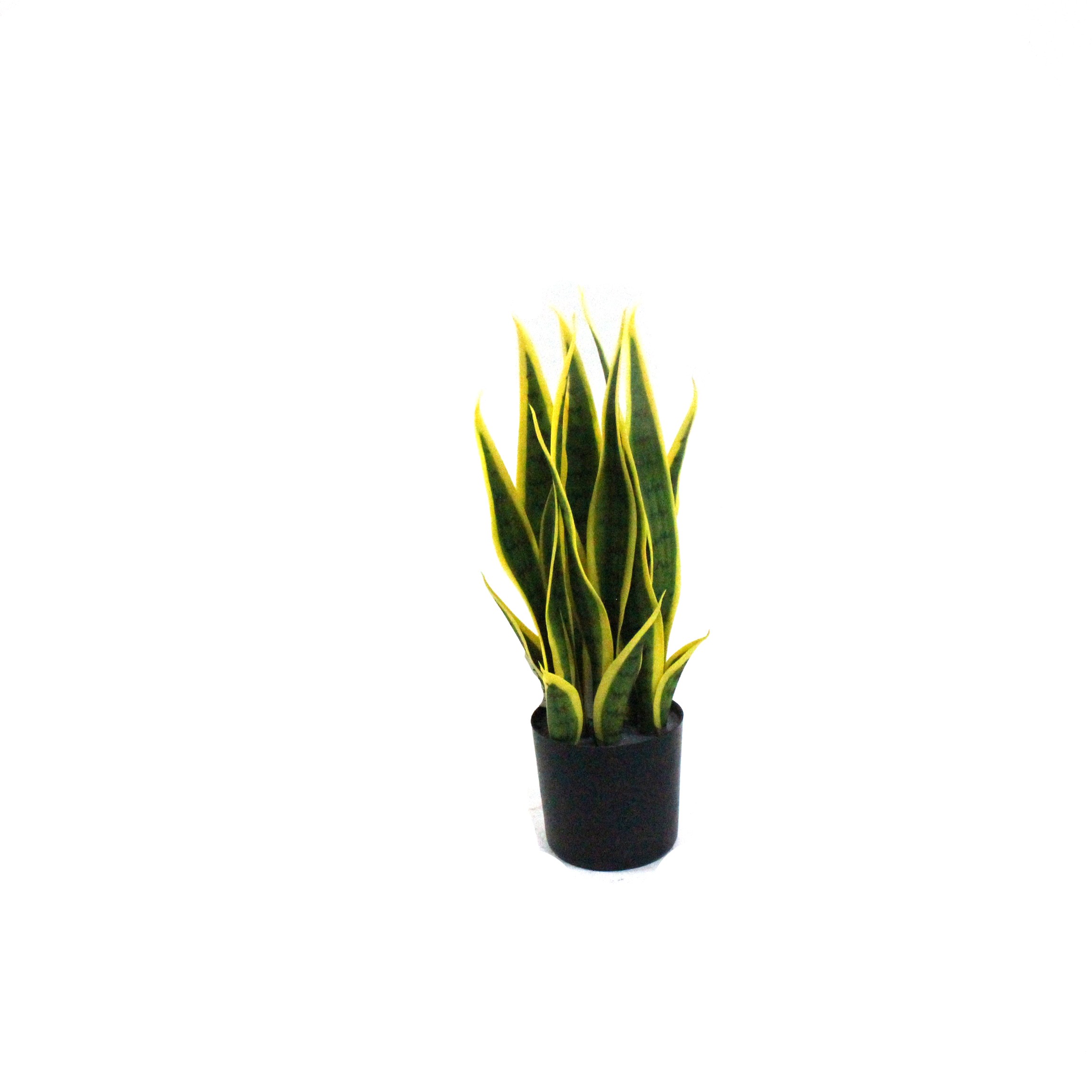 Artificial Snake Plants