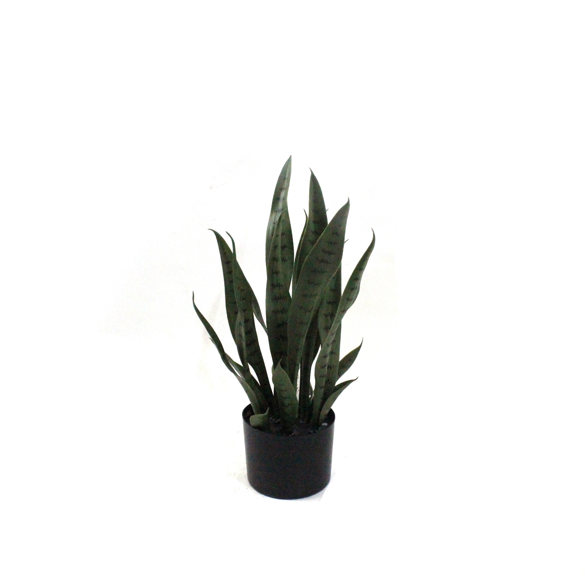 Artificial Snake Plants