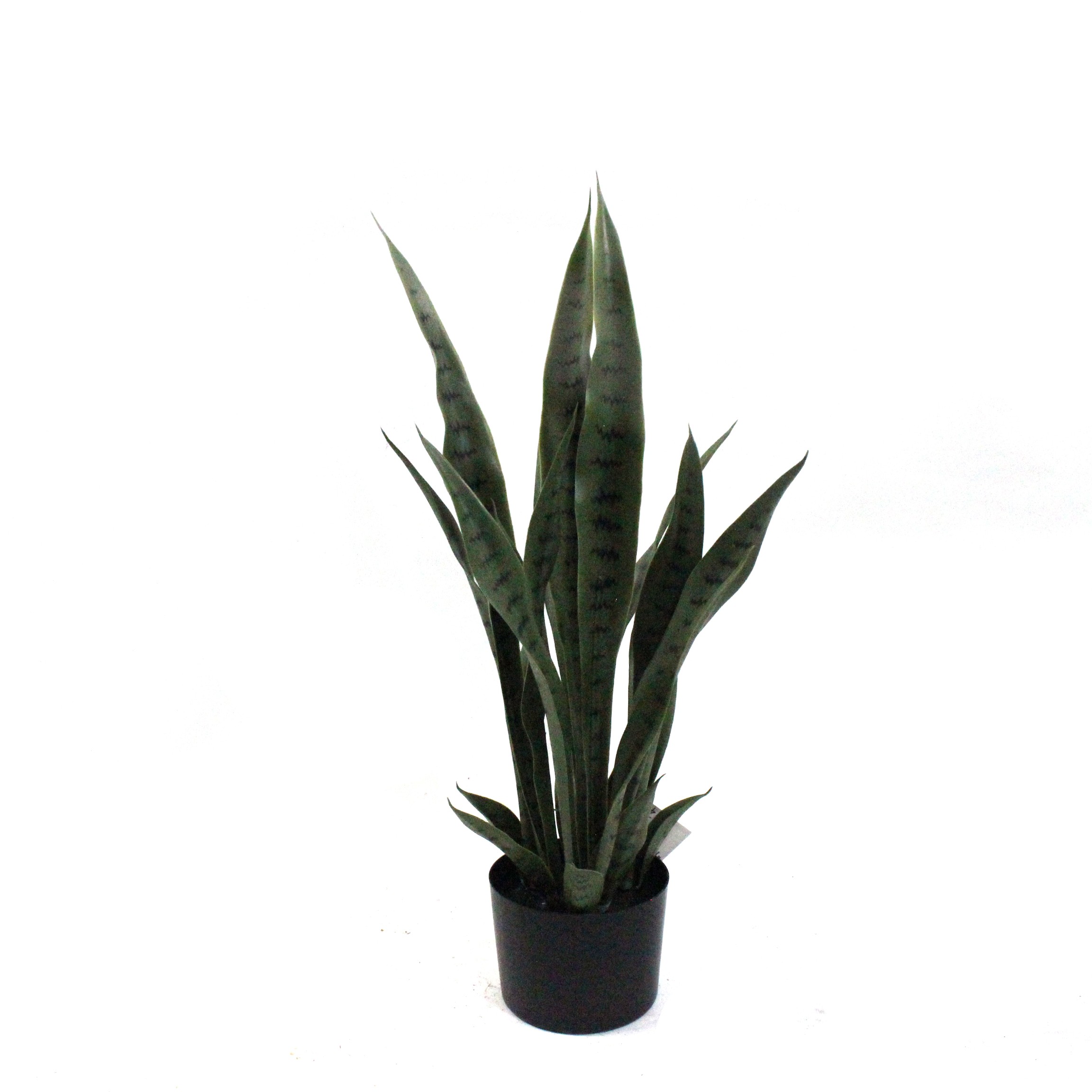 Artificial Snake Plants