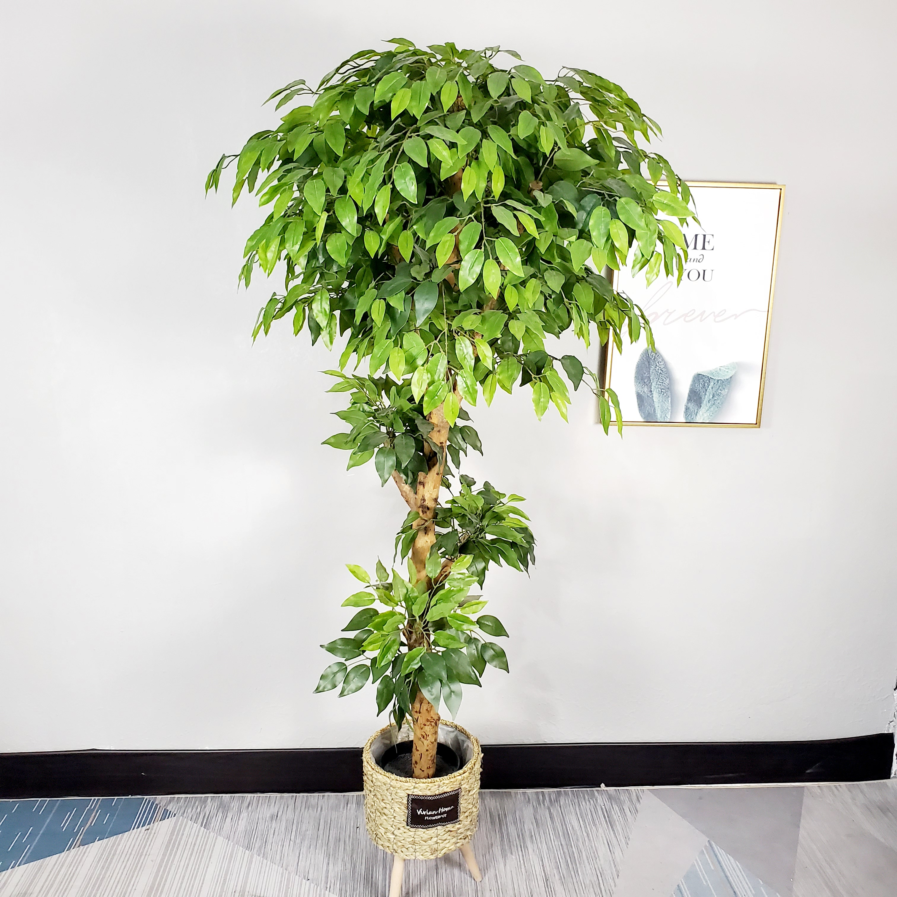 Artificial Ficus Trees