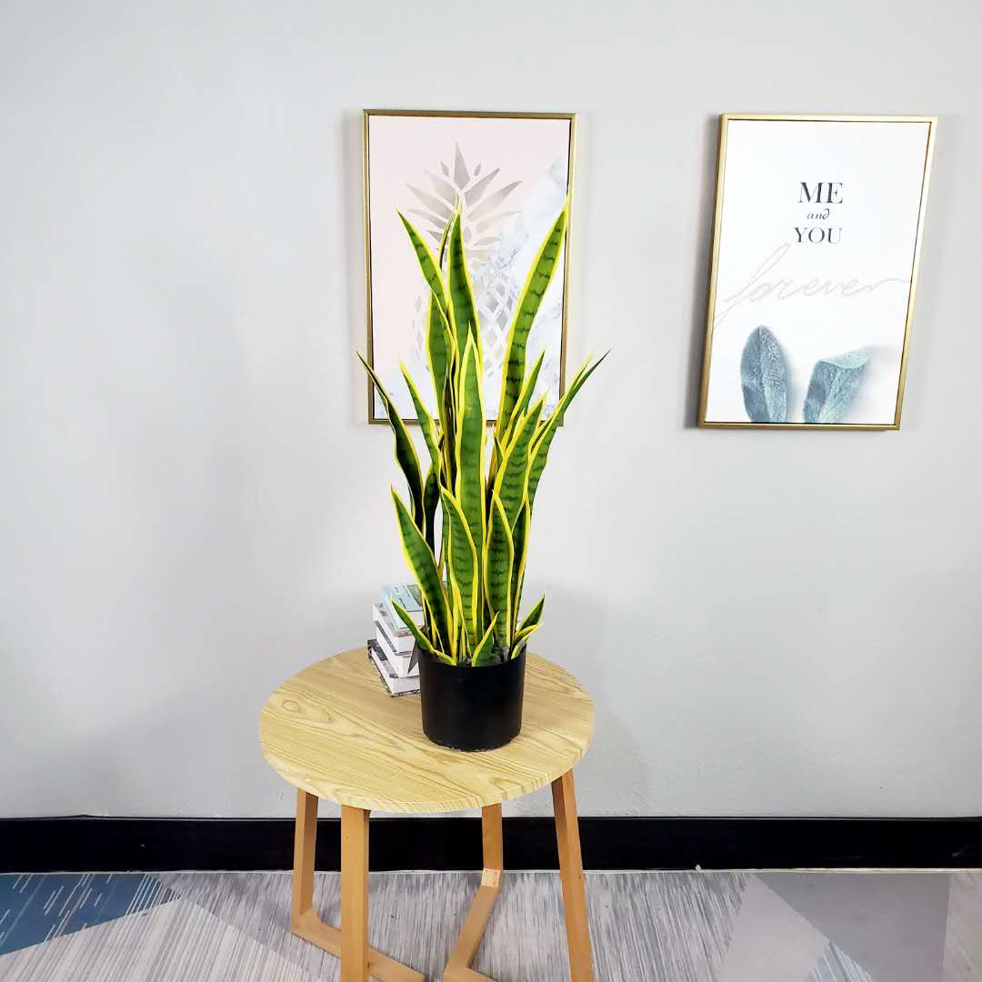 Artificial Snake Plants
