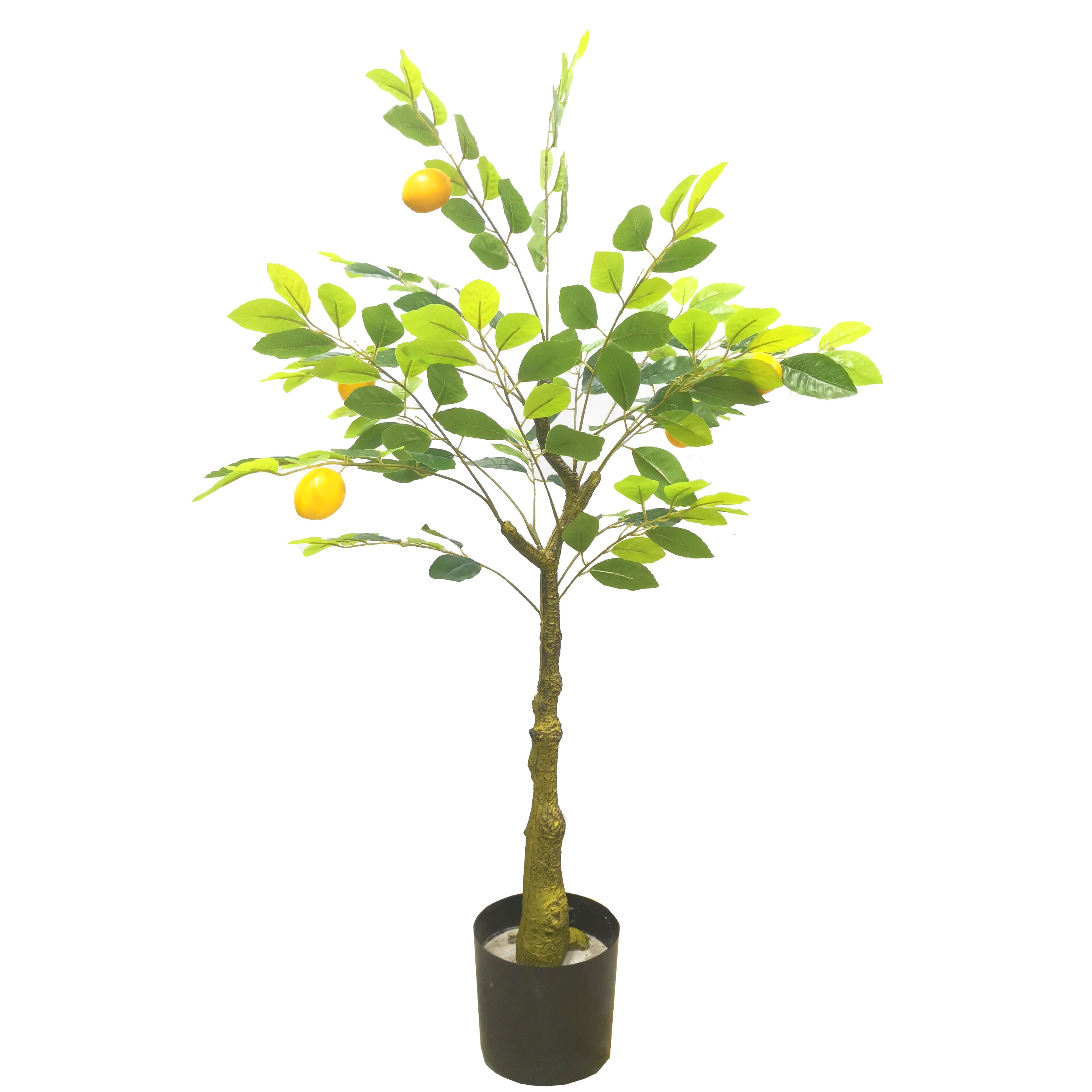 Artificial Lemon Trees