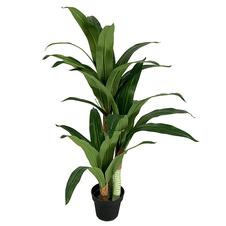 Artificial Dracaena Fragrans