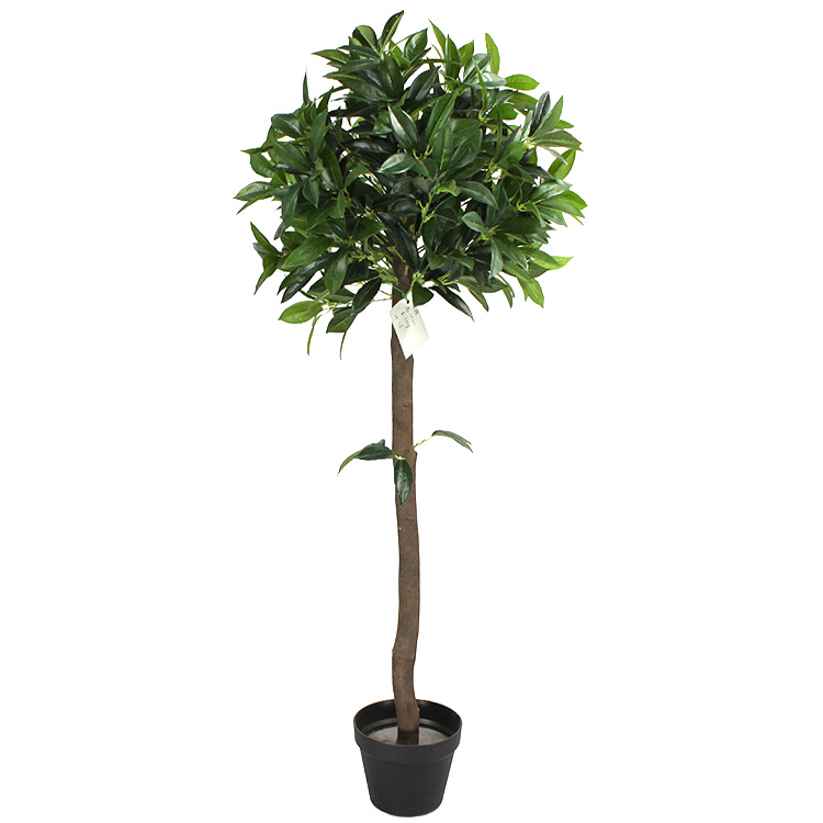 Artificial Sweet Bay Trees