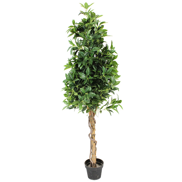 Artificial Sweet Bay Trees